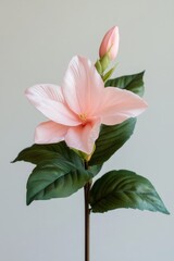 Canvas Print - A single pink flower surrounded by green leaves in a decorative vase