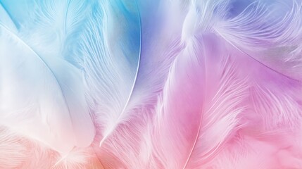 Canvas Print - Pastel-colored feathers background texture.