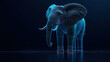 © K.V - holographic elephant standing futuristic environment, showcasing intricate digital patterns and glowing lines. This stunning representation blends nature with technology, evoking sense of wonder