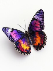 Wall Mural - Purple Orange Butterfly White Surface