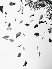 Canvas Print - Leaves Flying Through Air