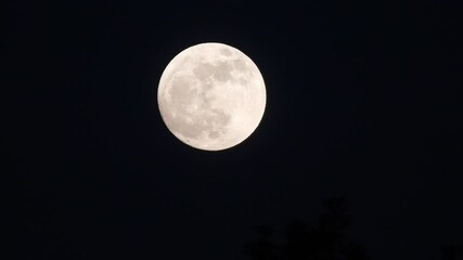 Wall Mural - night time moon light in sky .