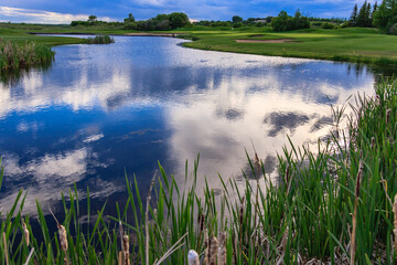 Wall Mural - A lake with a cloudy sky in the background