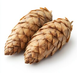 Wall Mural - Two light brown pine cones on a white background. Detailed texture and natural elements are visible