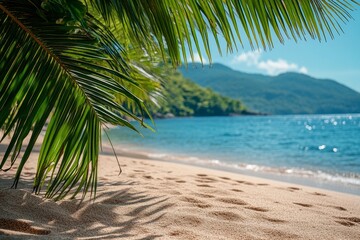 Wall Mural - Calm beach with footprints and palm leaves beside clear water under sunny sky