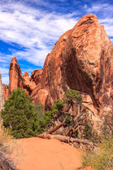 Wall Mural - A rocky mountain range with a tree in the foreground