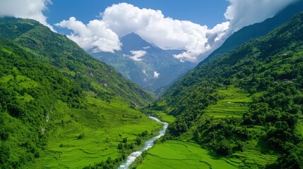 Poster - Lush Green Valley Surrounded by Majestic Mountains and Clear Sky