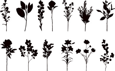 Wall Mural - set of flowers silhouette on white background vector