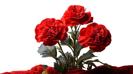 Wall Mural - red carnation trio vibrant floral bouquet, elegant love-themed bloom for nature themes, isolated on 
