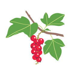 Wall Mural - Red Currant Branch with Berries and Leaves