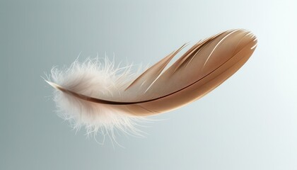 Wall Mural - Soft and Delicate Feather Isolated on Light Background