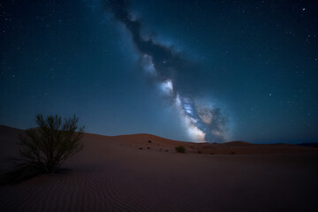 Wall Mural - picture a serene desert oasis under a clear night sky filled with countless stars and the milky way 
