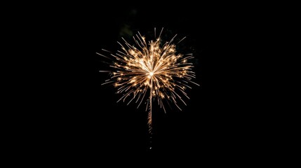 Wall Mural - A firework is lit up in the dark sky