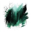 © mlangsen - Green black paint splash strokes on white background for graphic design