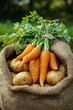 © stanhert - A bunch of carrots and potatoes in a sack on the ground