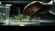 © Serhii - Lab Technician's Hand Carefully Inoculating a Petri Dish in a Modern Microbiology Laboratory