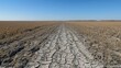 © mlangsen - Dry cracked dirt road through harvested field, distant trees, clear sky