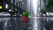 © tugkiara - City street plant rain life urban