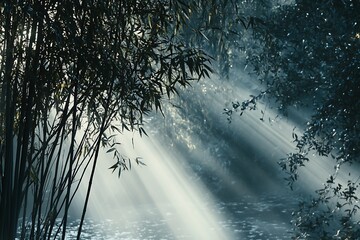 Wall Mural - Serene Sunlight Through Bamboo Forest