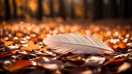 Wall Mural - Lonely feather in the midst of autumn leaves illuminated by golden hue 
