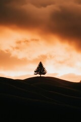 Wall Mural - Solitary Tree Silhouette Against Sunset Sky