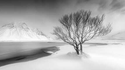 Lonely tree winter lake snowy mountains landscape