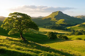 Wall Mural - Sunlit Valley Landscape with Solitary Tree and Mountain