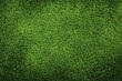 © VisualCrafter - Lush green grass texture background.
