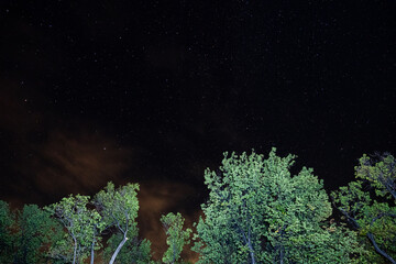 Wall Mural - Milky Way galaxy visible during night with shooting stars