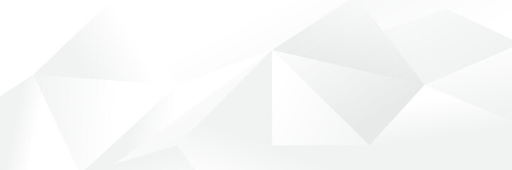 Wall Mural - abstract white geometric banner design background.