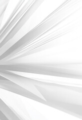 Wall Mural - white abstract on gray background elegant white background with shiny lines