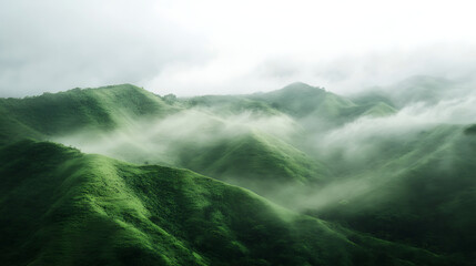 Wall Mural - light fog drifting across lush green hills, soft gradients of mist and light across the scene