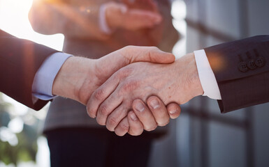 Wall Mural - Sealing a deal. Close-up of two business people shaking hands while sitting at the working place