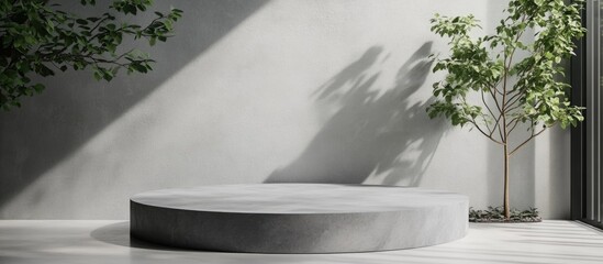 Poster - Modern minimalistic interior with round concrete platform, natural light casting shadows, and greenery for ambiance, Copy Space.