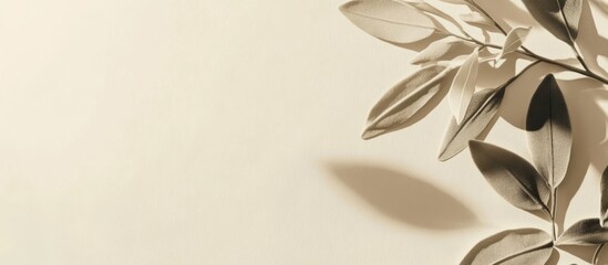 Leinwandbilder - Minimalist design featuring delicate green leaves casting shadows on a neutral background with ample copy space.