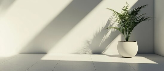 Aufkleber - Interior with a potted plant in a minimalistic room casting shadows on a wall with ample Copy Space for text insertion.