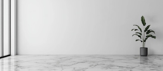 Poster - Empty modern interior with white walls and marble floor featuring a potted plant in the corner Copy Space
