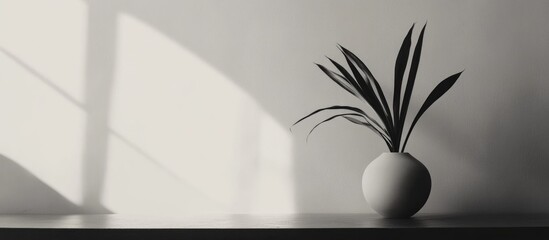 Aufkleber - Minimalist interior scene featuring a potted plant on a shelf with soft shadows and neutral colors Copy Space