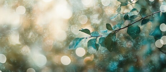 Poster - Nature bokeh background with green leaves and blurred light effects featuring copy space for text insertion