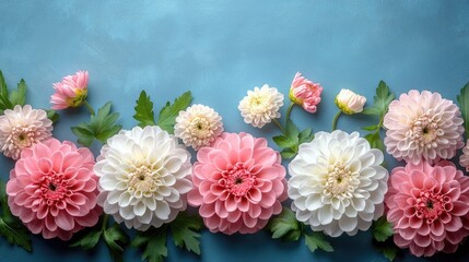 Aufkleber - Delicate pink and white chrysanthemum flower arrangement on a blue backdrop with empty space for greeting card text and messages
