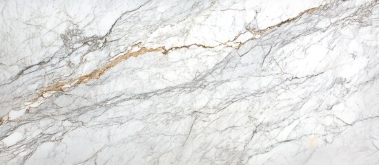 Poster - Elegant white marble texture featuring natural veins and highlights ideal for contemporary designs and infographics with ample space for text.