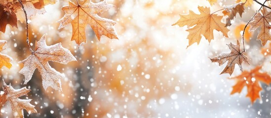 Poster - Elegant winter scene with wet leaves covered in snow creating a serene atmosphere and ample empty space for text or graphic overlay