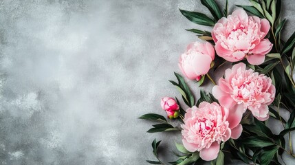 Poster - Delicate arrangement of pink peonies with lush greenery on a textured gray backdrop perfect for floral design or greeting cards