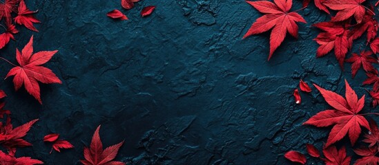 Fototapete - Japanese maple leaves on dark blue background autumn forest imagery perfect for seasonal designs with ample copy space for text