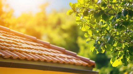 Leinwandbilder - Close up of bungalow roof illuminated by sunlight surrounded by lush greenery and leaves with space for text or advertisement.