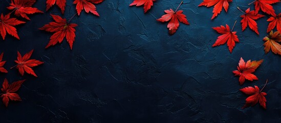 Poster - Captivating Japanese maple leaves against a dark blue backdrop ideal for autumn-themed designs with ample copy space for creative text.