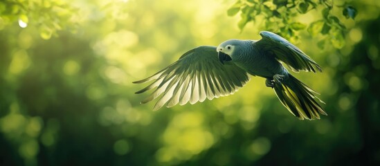 Wall Mural - Blue parrot flying against a bright green forest background with soft bokeh and ample copy space for text placement