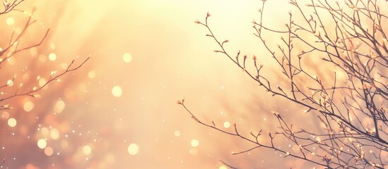Wall Mural - foggy landscape of bare tree branches set against a soft yellow and orange background with ample spa