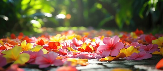 Wall Mural - Colorful flower petals scattered on a stone pathway in a lush garden setting with sunlight filtering through greenery Copy Space