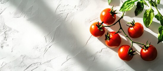 Wall Mural - Fresh red tomatoes on vine with green leaves placed on textured white background with dramatic shadows and ample Copy Space.